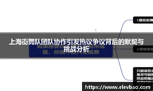 上海街舞队团队协作引发热议争议背后的默契与挑战分析